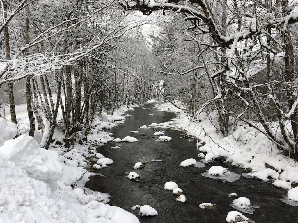 Spacious Ski Chalet In Traditional French Village, Sleeps 8, Four Star With Fibre Broadband أبودونس المظهر الخارجي الصورة