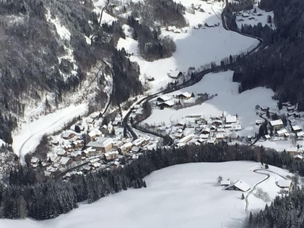 Spacious Ski Chalet In Traditional French Village, Sleeps 8, Four Star With Fibre Broadband أبودونس المظهر الخارجي الصورة