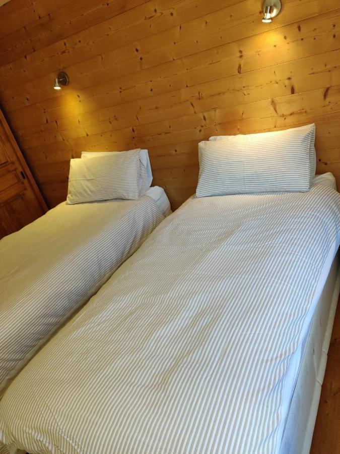 Spacious Ski Chalet In Traditional French Village, Sleeps 8, Four Star With Fibre Broadband أبودونس المظهر الخارجي الصورة